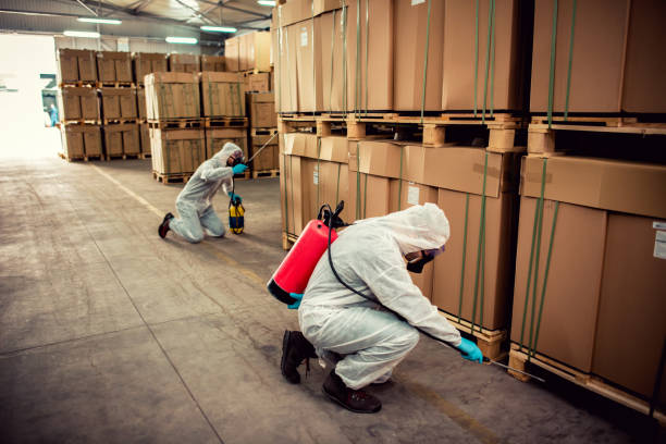 Best Exterminator Services  in Elmore, AL