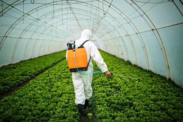 Best Emergency Pest Control  in Elmore, AL