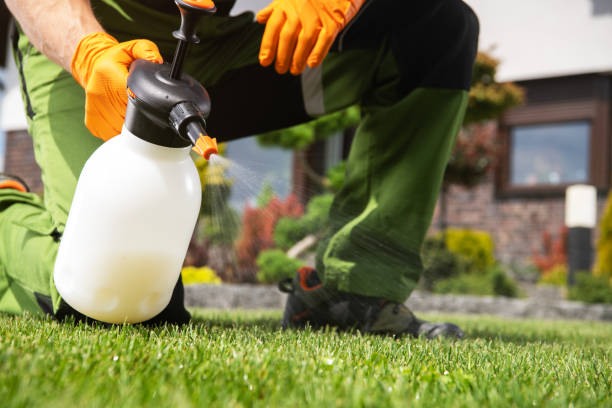 Professional Pest Control in Elmore, AL