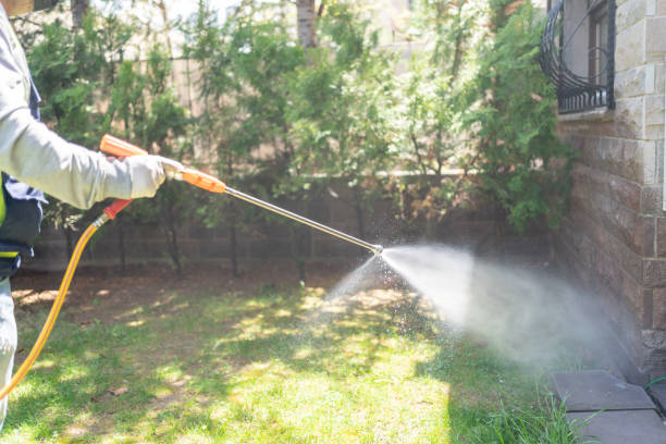 Best Spider Control Near Me  in Elmore, AL