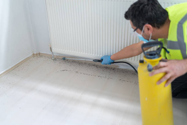 Reliable Elmore, AL Pest Control Solutions